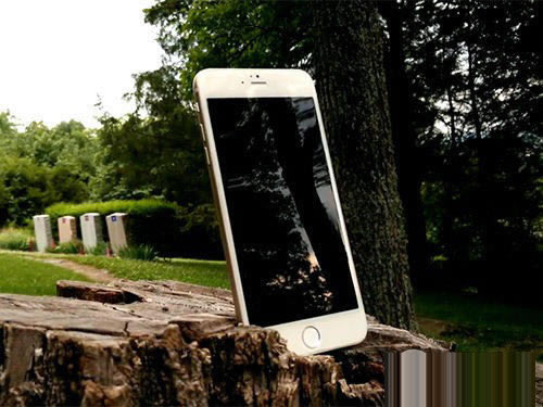 ƻҲӮ iPhone6֪