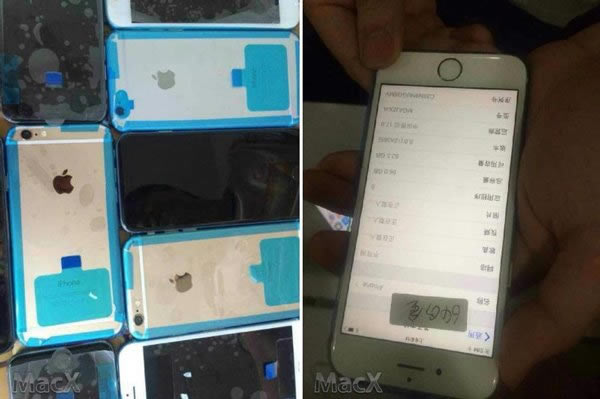 幸运用户已经入手苹果iPhone6/iPhone6 Plus 相关照片分享(图)_手机资讯_手机学院_本站
