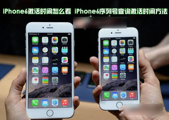 iPhone6����ʱ����ô����ƻ��iPhone6�����кŲ�ѯ����ʱ�䷽��ͼ��_ƻ���ֻ�_�ֻ�ѧԺ_��վ