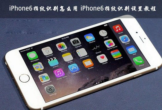 iPhone6ָ��ʶ����ô���ã�ƻ��iPhone6ָ��ʶ��ʹ�ý̳�ͼ��_ƻ���ֻ�_�ֻ�ѧԺ_��վ