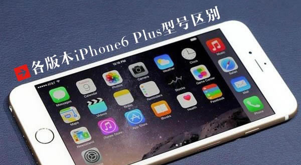 iPhone6 Plus����Щ�ͺ� ��iPhone6 Plus�ͺ�����