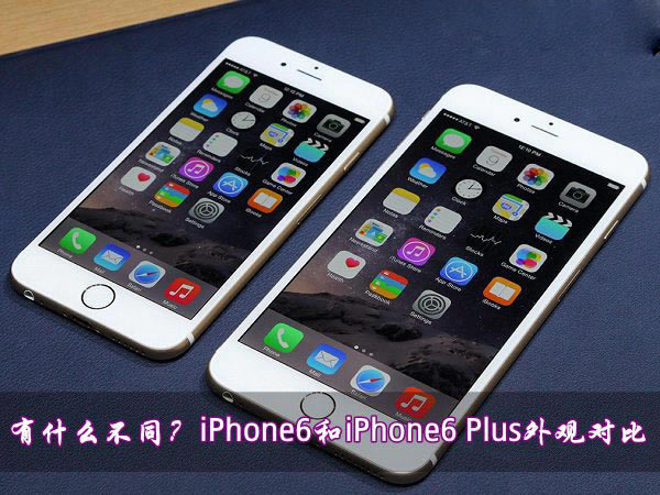 ƻ��6��ƻ��6 Plus�кβ�ͬ��iPhone6��iPhone6 Plus��۶Ա�ͼ��_�ֻ���Ѷ_�ֻ�ѧԺ_��վ
