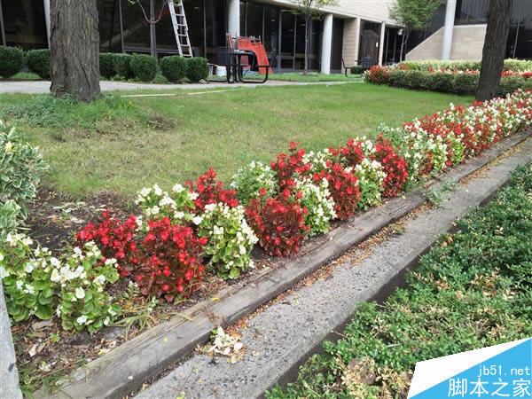 ����800��iPhone 6/6 Plus����ͷ���ŶԱ�