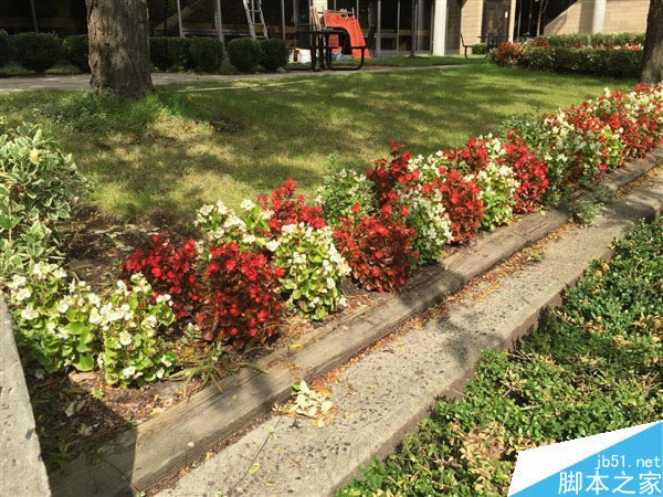 ����800��iPhone 6/6 Plus����ͷ���ŶԱ�