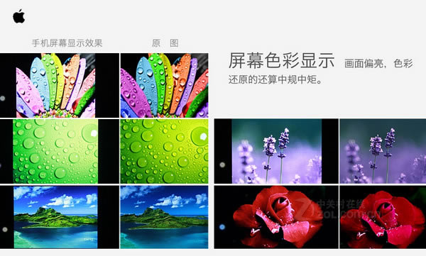 iPhone6和iPhone6 Plus的区别有哪些?苹果iPhone6 和Plus官方对比图解 _苹果手机_手机学院_本站