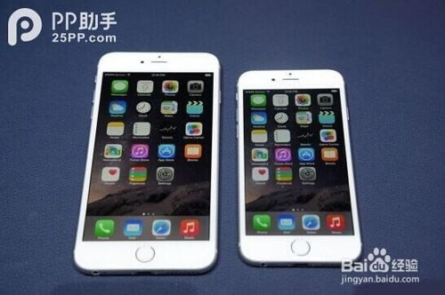 iPhone6 Plus��ô���iPhone6����̷̳���