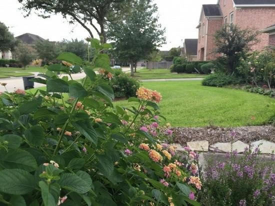 ƻ��iPhone6 Plus���նԱȼ���EOS 5D Mark III:�������_ƻ���ֻ�_�ֻ�ѧԺ_��վ