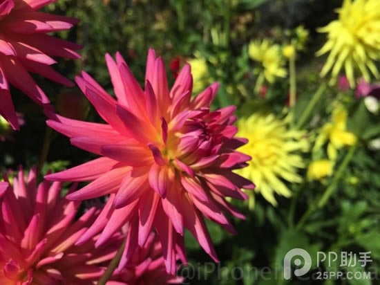 64GB��iPhone6 Plus����������� ���Ŷ�����