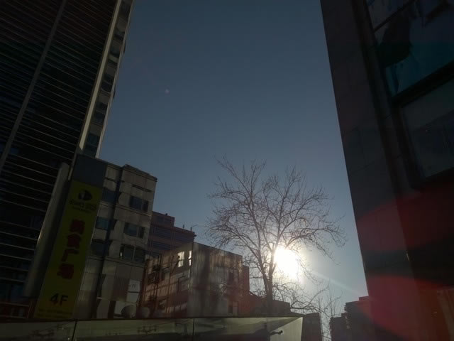 ŵ����Lumia930/ƻ��iPhone6 Plus������ 