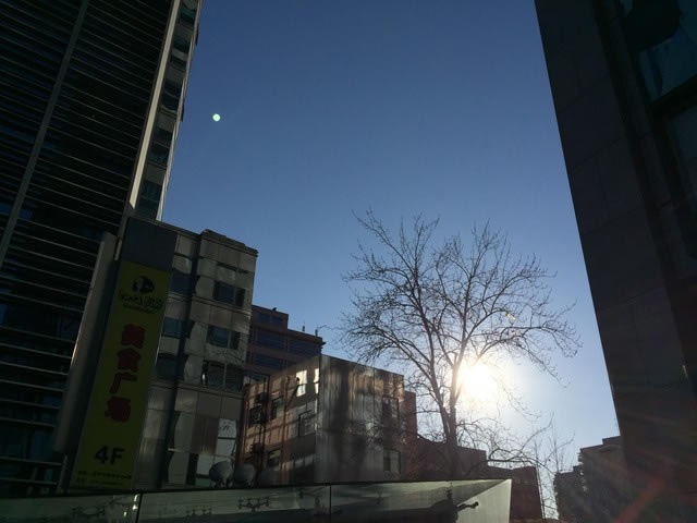 ŵ����Lumia930/ƻ��iPhone6 Plus������ 