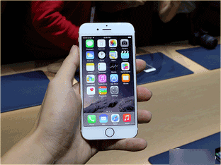 iPhone6/Plus/5c/5s �ַ��Ӿ�������˭ 