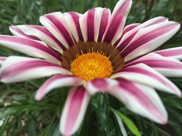 Note 4/iPhone 6 Plus/LG G3���նԱ�