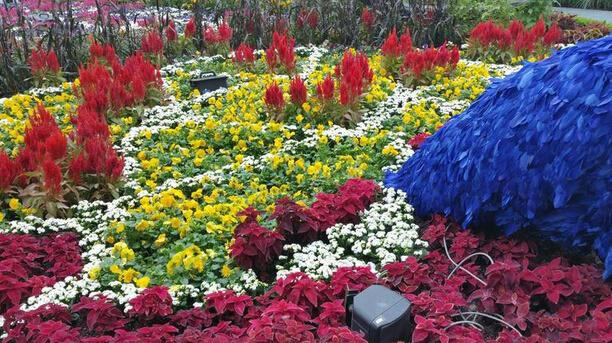 Note 4/iPhone 6 Plus/LG G3���նԱ�