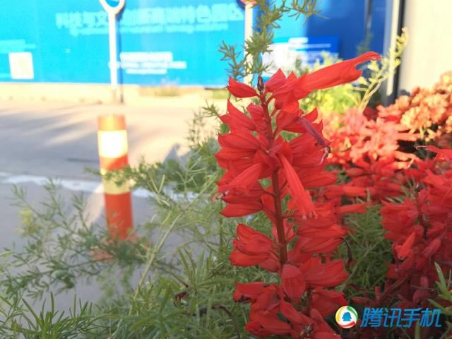 国行iPhone 6/6+评测:史上最好用!