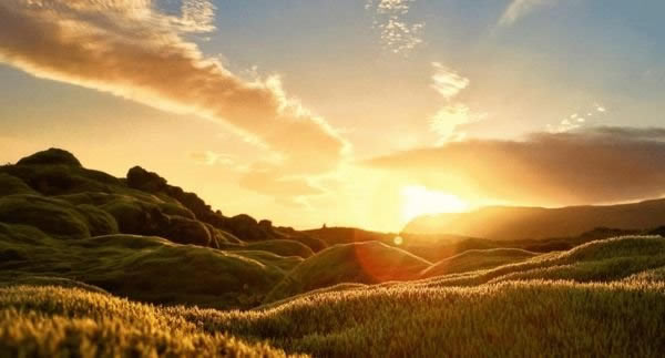 仍是800万像素 看看iPhone6 Plus如何做到拍照最佳_苹果手机_手机学院_本站