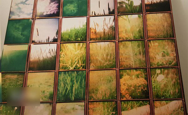 三星S6/iPhone6 Plus哪个拍照好?三星S6/iPhone6 Plus拍照对比评测_手机评测_手机学院_本站