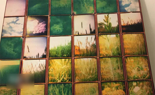 三星S6/iPhone6 Plus哪个拍照好?三星S6/iPhone6 Plus拍照对比评测_手机评测_手机学院_本站