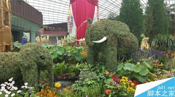 ����Note 4/iPhone6 Plus/LG G3��������Ա�����_�ֻ�����_�ֻ�ѧԺ_��վ