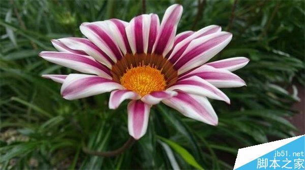 ����Note 4/iPhone6 Plus/LG G3��������Ա�����_�ֻ�����_�ֻ�ѧԺ_��վ