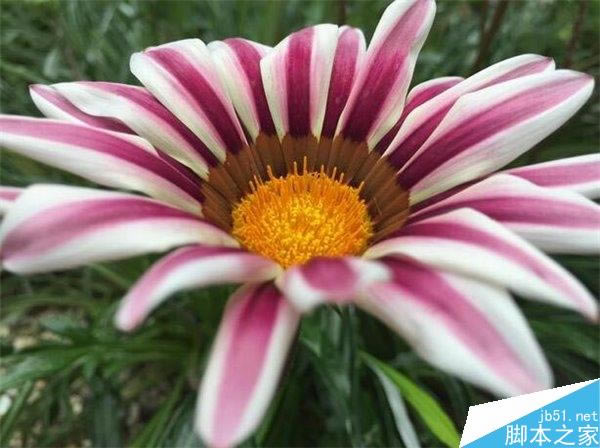 ����Note 4/iPhone6 Plus/LG G3��������Ա�����_�ֻ�����_�ֻ�ѧԺ_��վ