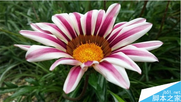 ����Note 4/iPhone6 Plus/LG G3��������Ա�����_�ֻ�����_�ֻ�ѧԺ_��վ