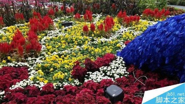 ����Note 4/iPhone6 Plus/LG G3��������Ա�����_�ֻ�����_�ֻ�ѧԺ_��վ