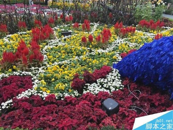 ����Note 4/iPhone6 Plus/LG G3��������Ա�����_�ֻ�����_�ֻ�ѧԺ_��վ