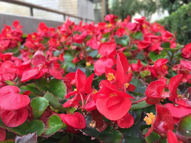 iPhone6 Plus������Z3�ĸ�����Ч�����ã�iPhone6 Plus/����Z3����Ч���Ա�����_�ֻ�����_�ֻ�ѧԺ_��վ