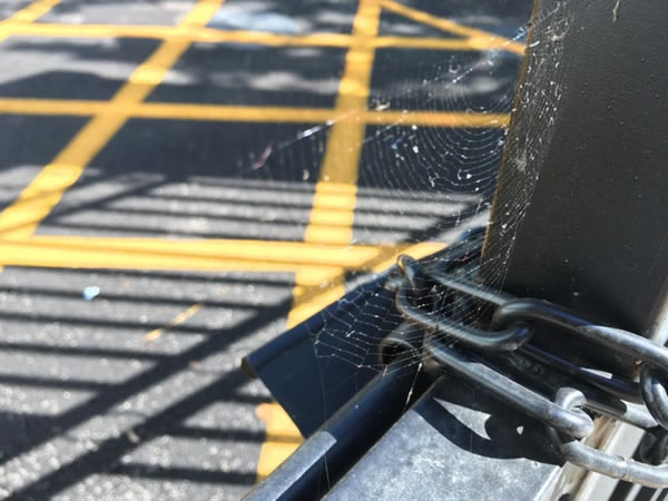 iPhone6s Plus��ô�� iPhone6s Plus��ϸ����ͼ��