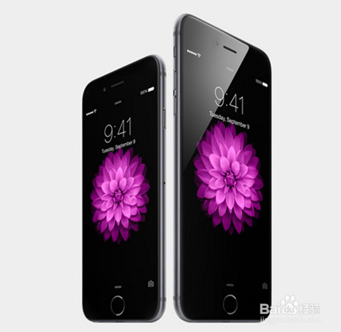 iPhone6 Plus�۰���ôԤ��?iPhone6�۰�ԤԼ����