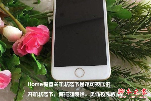 iPhone7怎么辨别真假?苹果iPhone7及iPhone7 Plus手机真假辨别教程详解