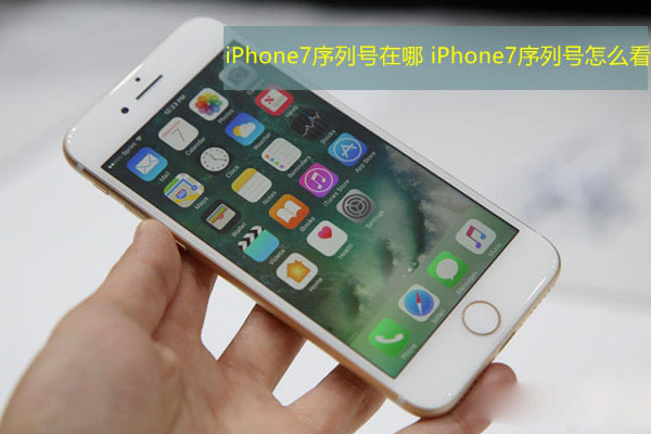 iPhone7序列号在哪 iPhone7序列号怎么看?