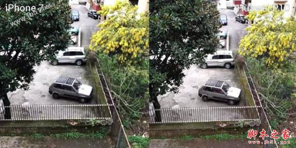 华为P10和苹果iPhone7拍照哪个好?样张对比
