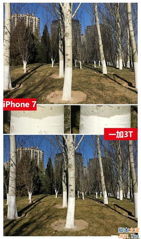 一加3T和iPhone7拍照哪个好?一加3T和iPhone7拍照对比评测_手机评测_手机学院_本站