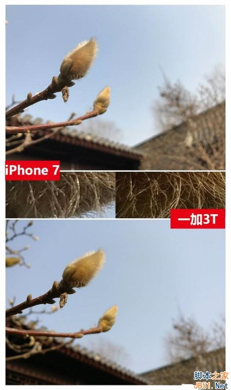 一加3T和iPhone7拍照哪个好?一加3T和iPhone7拍照对比评测_手机评测_手机学院_本站