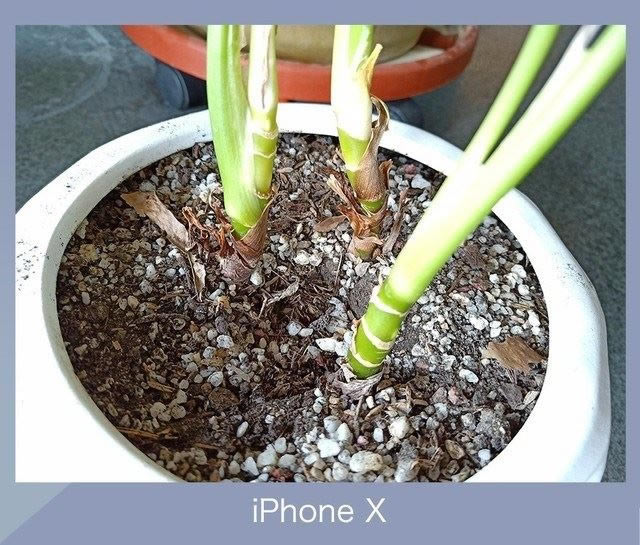 OPPO R15iPhone Xĸ?ƻXOPPOR15ŶԱ_ֻ_ֻѧԺ_վ