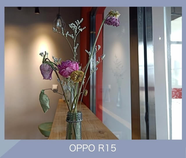 OPPO R15iPhone Xĸ?ƻXOPPOR15ŶԱ_ֻ_ֻѧԺ_վ