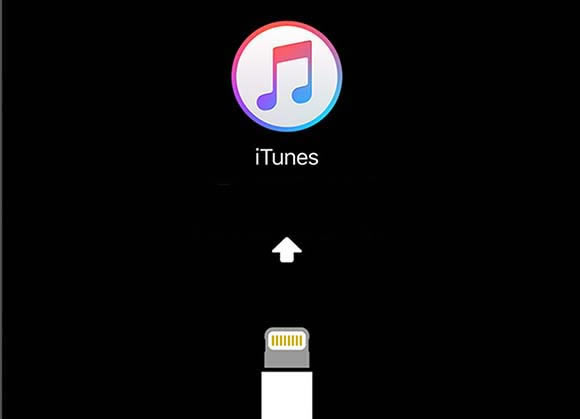 iphone xs max打电话屏幕不亮失灵没反应怎么办?_苹果手机_手机学院_本站