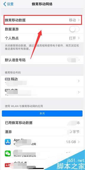 iPhone xs max怎么打开数据流量?iPhone xs max开启数据网络方法