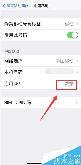 iPhone XR怎么禁用4G网络?iPhone XR禁用4G网络教程