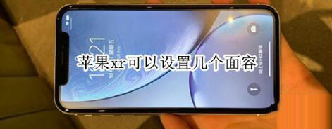 苹果xr面容可以设置几个?_苹果手机_本站