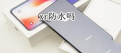 iPhone XR防不防水?_安卓手机_手机学院_本站