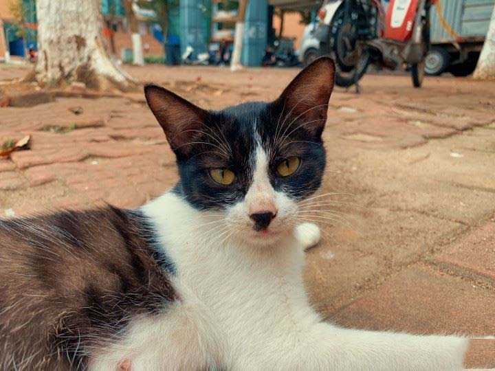 iPhone XR手机怎么样 苹果xr手机上手半年使用体验_苹果手机_手机学院_本站