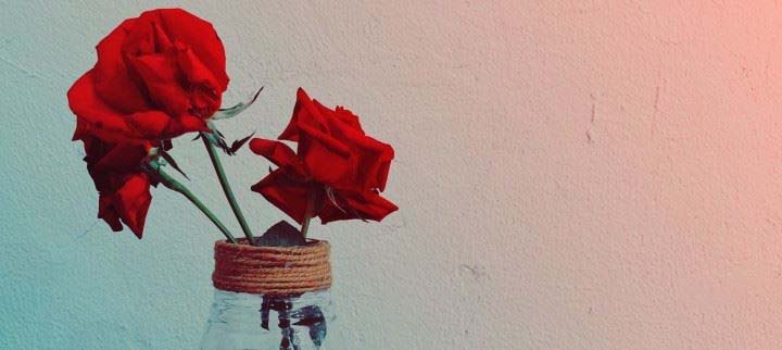 iPhone XR手机怎么样 苹果xr手机上手半年使用体验_苹果手机_手机学院_本站