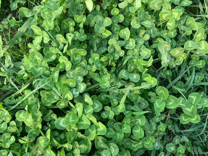 小米9和iPhone XR哪个值得买 小米9和iPhone XR手机区别对比_手机评测_手机学院_本站