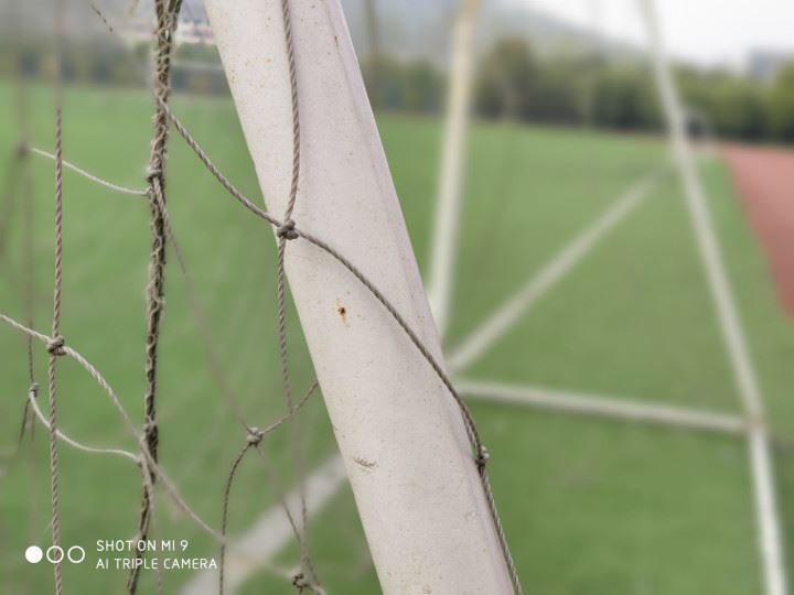 小米9和iPhone XR哪个值得买 小米9和iPhone XR手机区别对比_手机评测_手机学院_本站