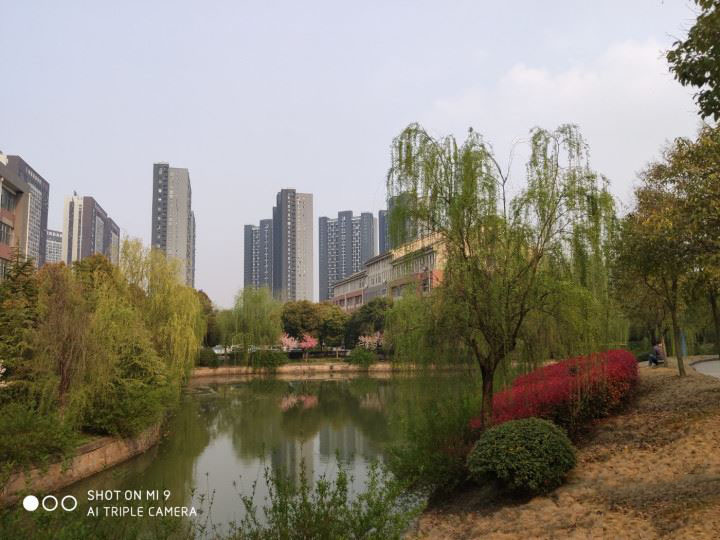 小米9和iPhone XR哪个值得买 小米9和iPhone XR手机区别对比_手机评测_手机学院_本站