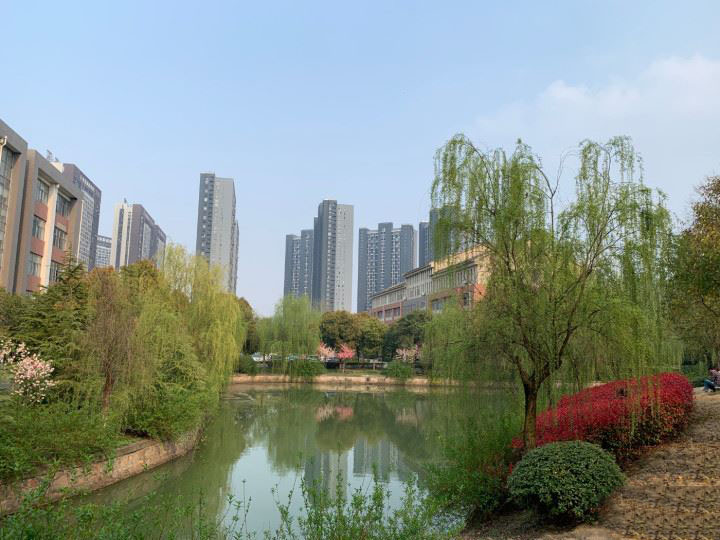 小米9和iPhone XR哪个值得买 小米9和iPhone XR手机区别对比_手机评测_手机学院_本站