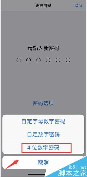 iPhone XSôĳ4λ룿iPhone XS/XS max4λý̳