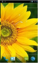 ���� U880F1 �̼��������ש ˢ���̳�